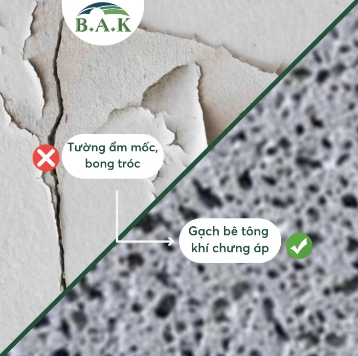 Tường ẩm mốc, bong tróc và cách khắc phục! 