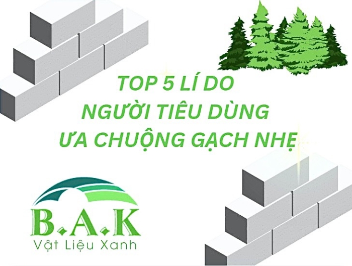 TOP 5 LÍ DO NGƯỜI TIÊU DÙNG ƯA CHUỘNG GẠCH NHẸ